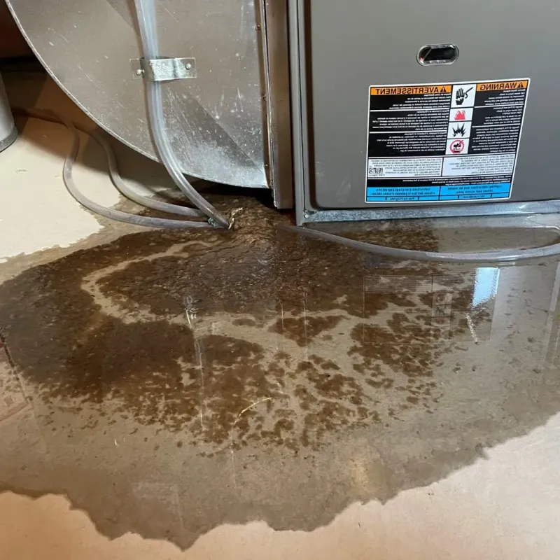 Pipe Burst and Leak Restoration in Country Club Estates, GA