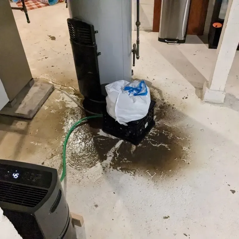 Sewage Backup Cleanup Service in Country Club Estates, GA